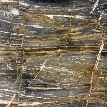 Golden Night Vein Cut